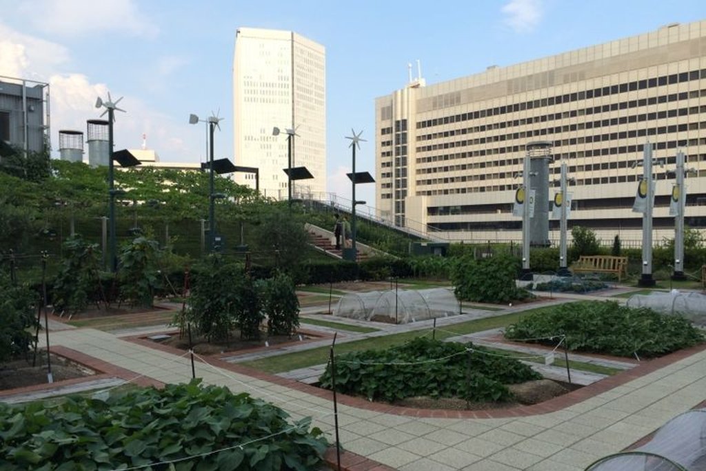 In einzelne Abschnitte unterteilte Grünflächen auf einem Dach umringt von Hochhäusern