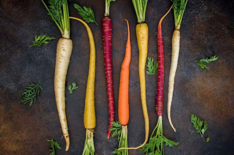 Karotten in diversen Farben und Formen