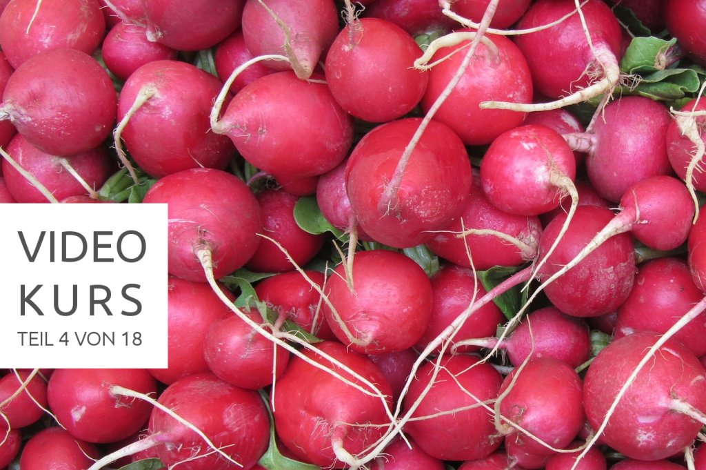 Radieschen