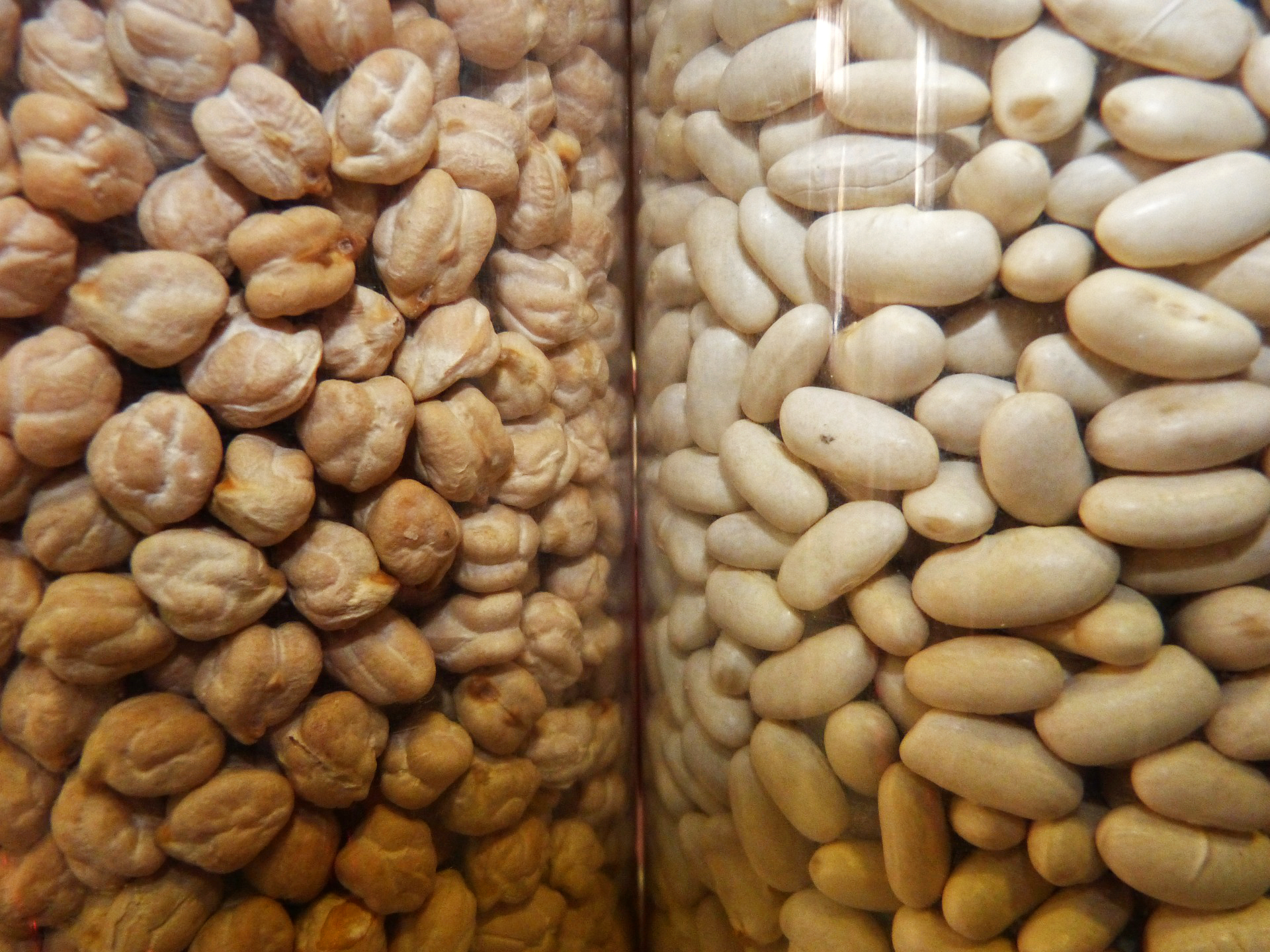 Bohnen und Kichererbsen in durchsichtigen Gefäßen