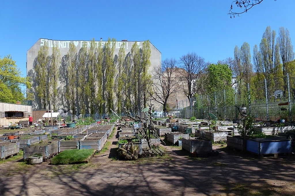 Eine Vielzahl an Beeten. Im Hintergrund ragt ein Hochhaus empor. 