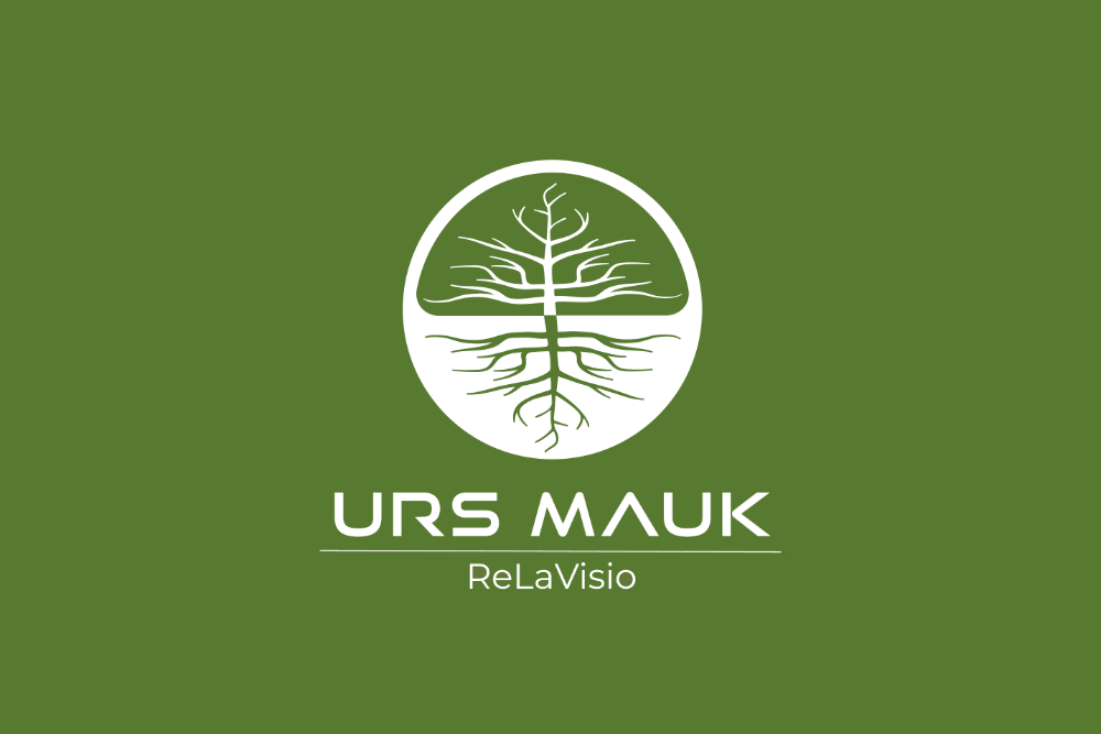 Logo ReLaVisio