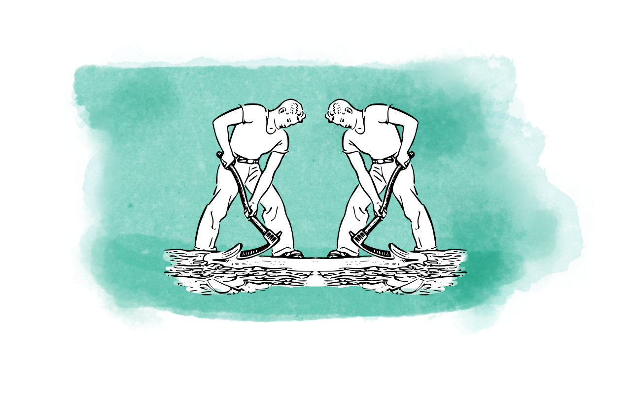 Agrarökologie-Schulen