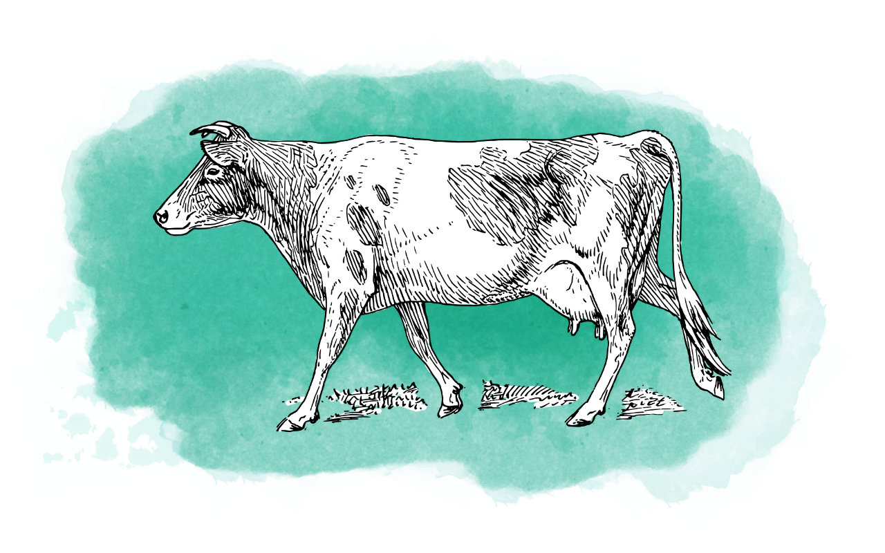 Mobile Schlachthöfe