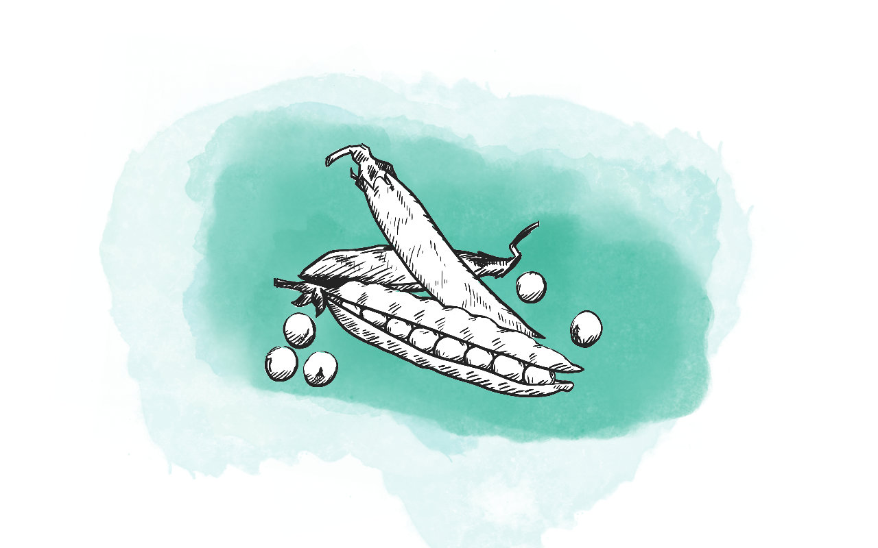 Open Source-Samenbanken und Saatgutschutz