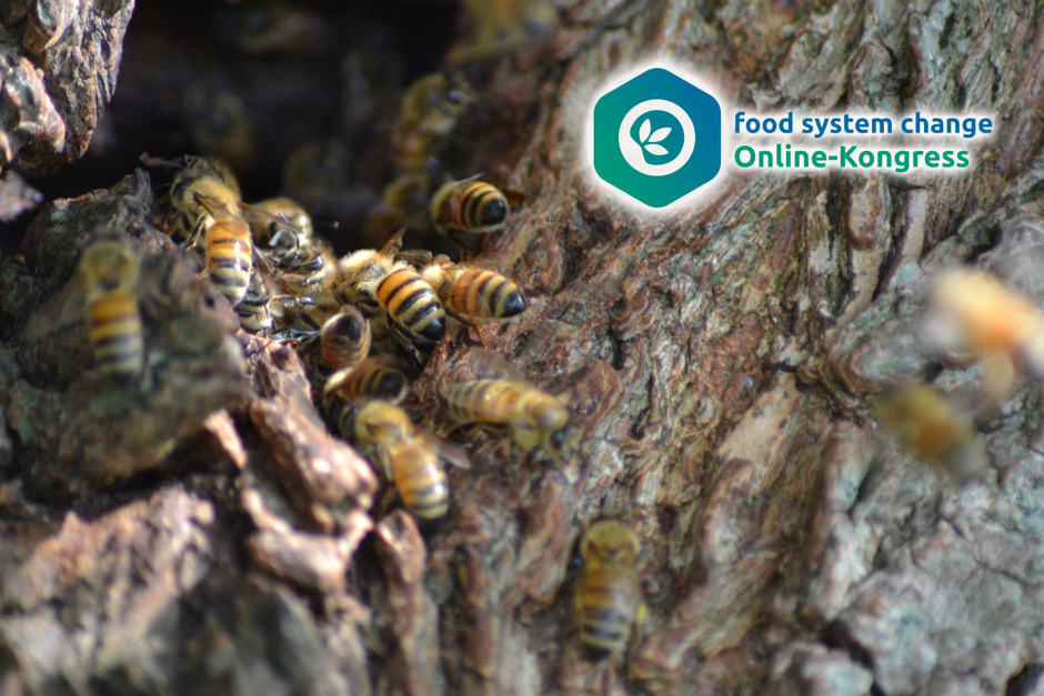 Food System Change Congress