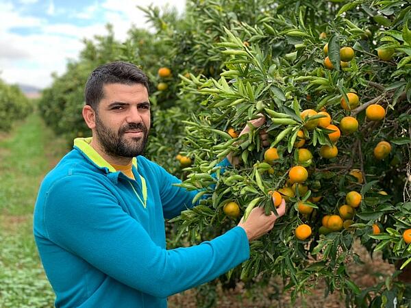 Mann neben Orangenbaum
