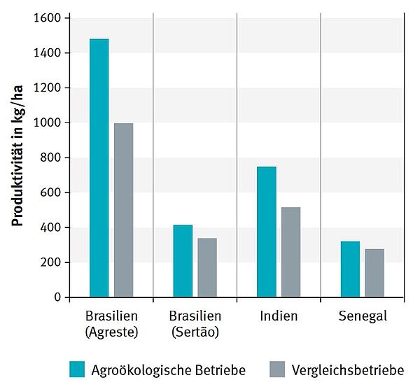 Die Produktivität der agrarökologischen Betriebe liegt in den untersuchten Ländern über jener der Vergleichsbetriebe 