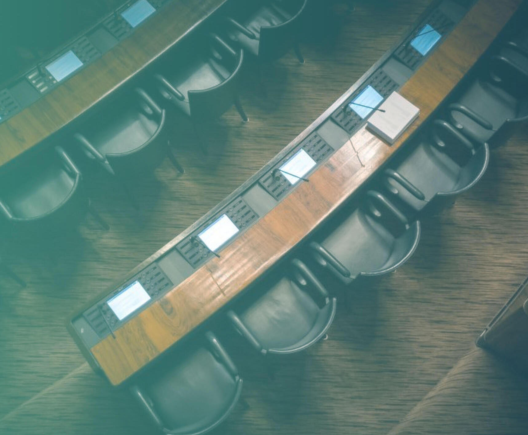 Working Towards The Inclusion of a Plant-Based Diet in Public Policy