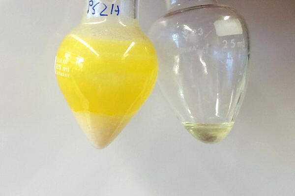 Zwei kleine Flakons mit einem gelben und einem durchsichtigen Öl 