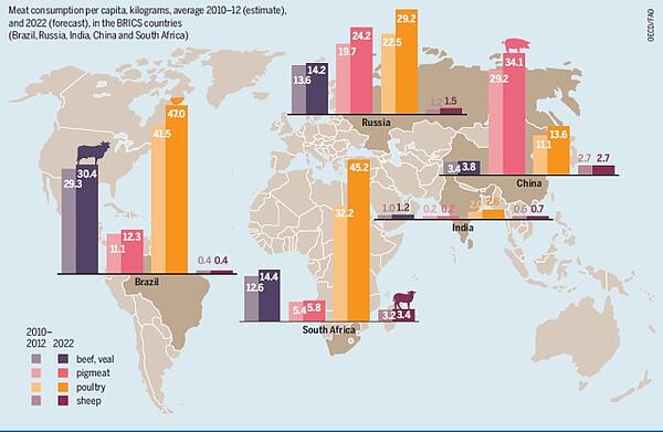 Vorhersage sieht einen Anstieg des Fleischkonsums pro Kopf bezüglich aller Fleischarten und in allen Ländern vorher