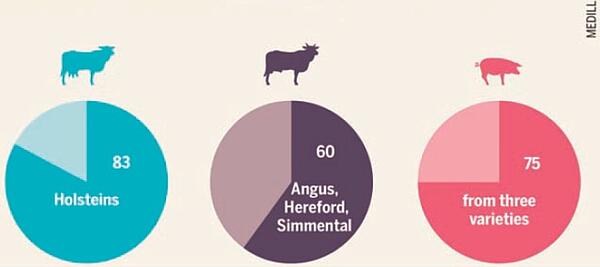 Der Marktanteil einzelner Rassen beträgt je nach Tierart bis zu 83 Prozent