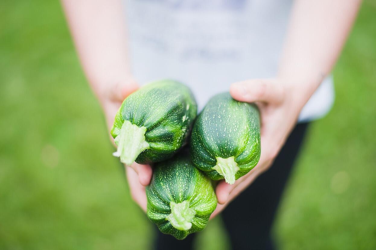 Ernährungsheld*in werden