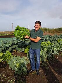 Ernte, Biozyklisch-Veganer Anbau