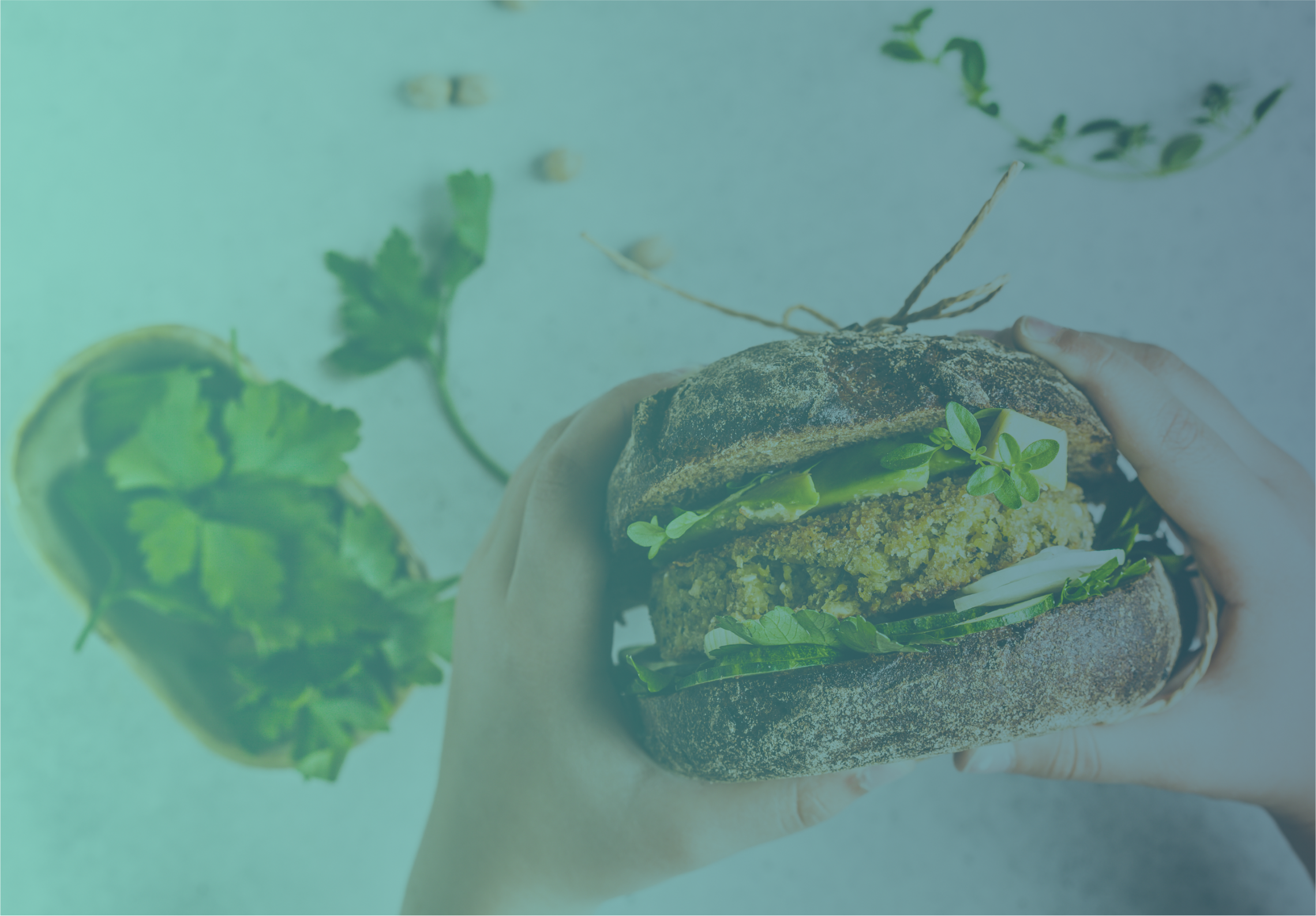 The Path to Sustainable Protein